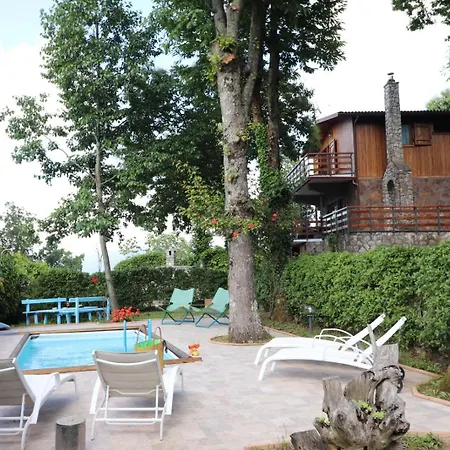 Privata Con Piscina E Biliardo سورينتو